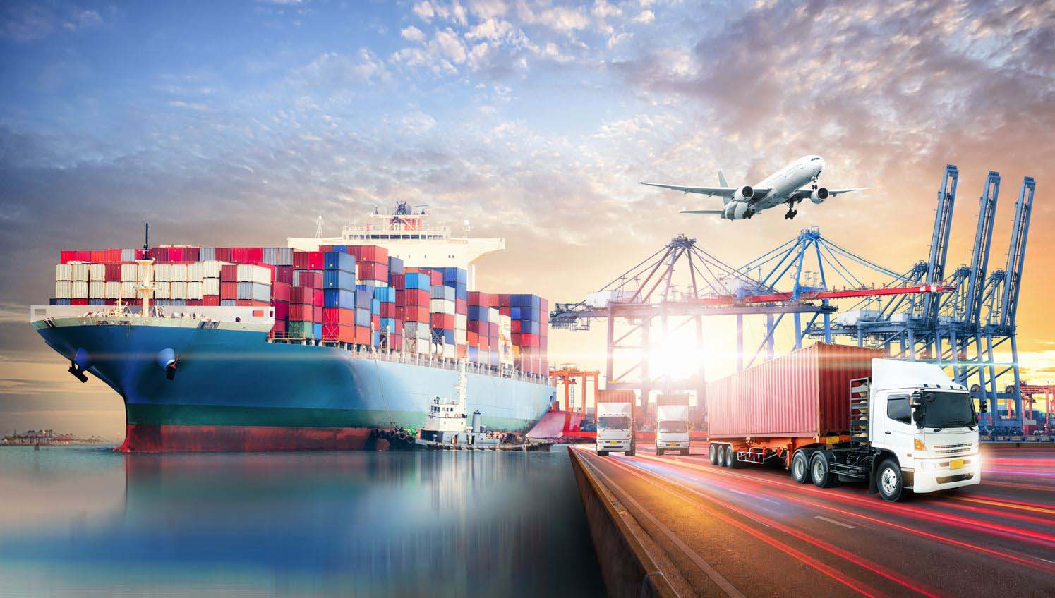 Import/Export